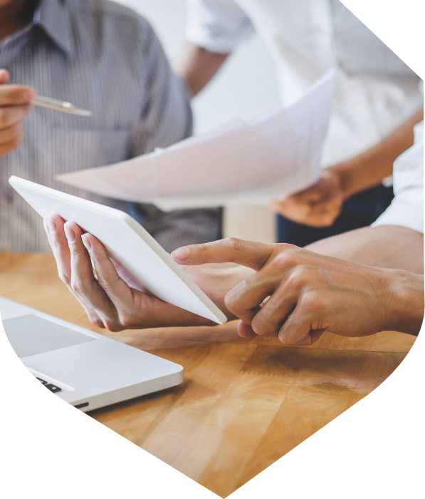 可持續能源領域